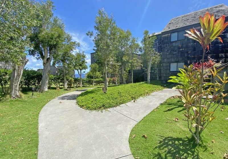 شقة غرفة واحدة, Sealodge G9