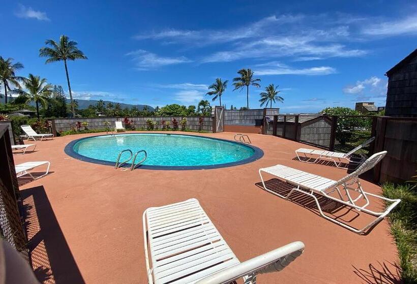 شقة غرفة واحدة, Sealodge G9