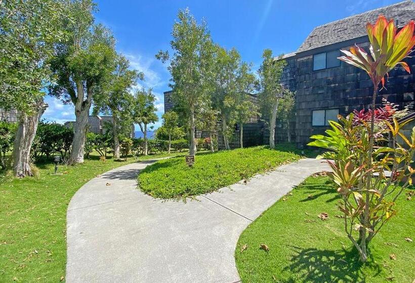 شقة غرفة واحدة, Sealodge G9