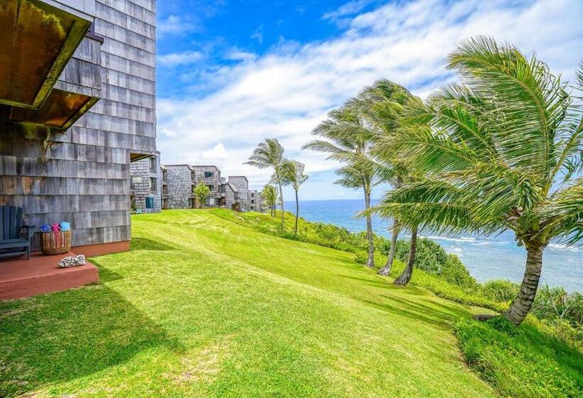 شقة غرفة واحدة, Sealodge G9