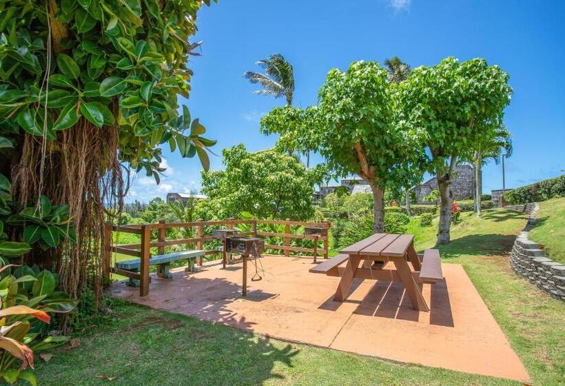 شقة غرفة واحدة, Sealodge G9