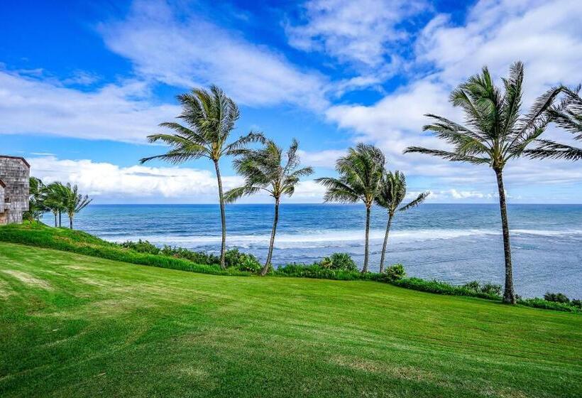 شقة غرفة واحدة, Sealodge G9