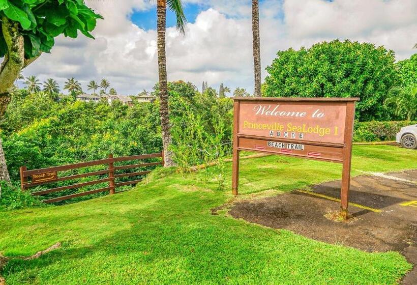 شقة غرفة واحدة, Sealodge G9