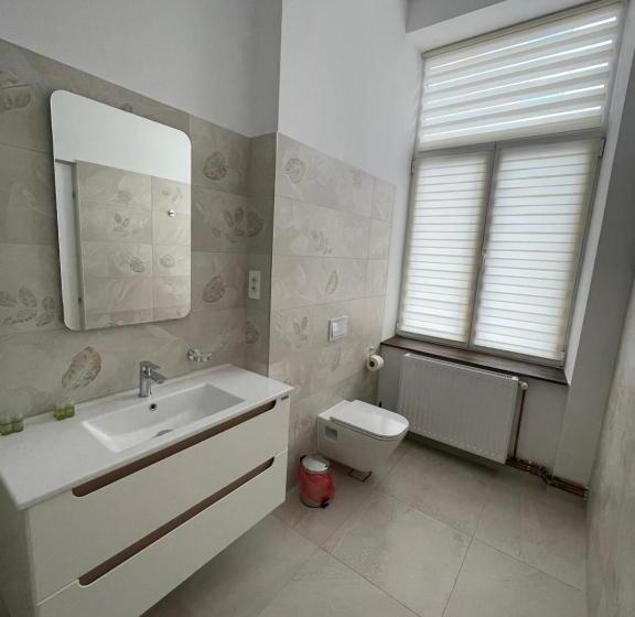 带大床的标准间, Resedinta Cina