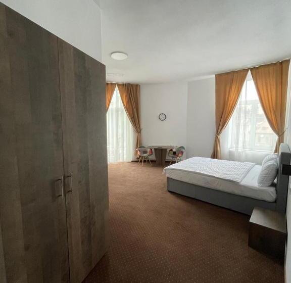 带大床的标准间, Resedinta Cina