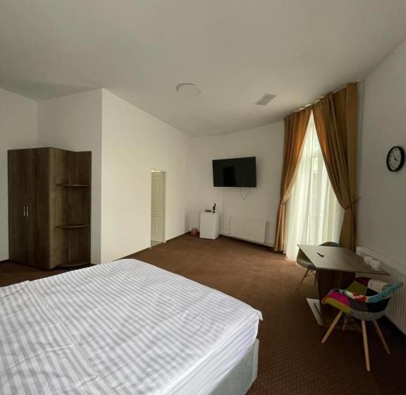 带大床的标准间, Resedinta Cina