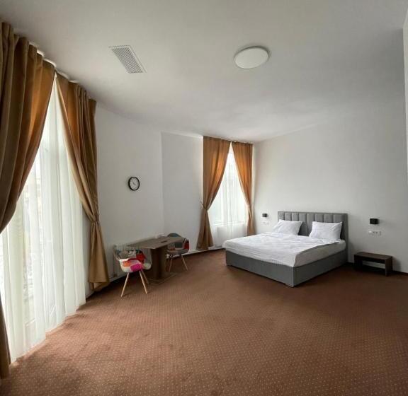 带大床的标准间, Resedinta Cina