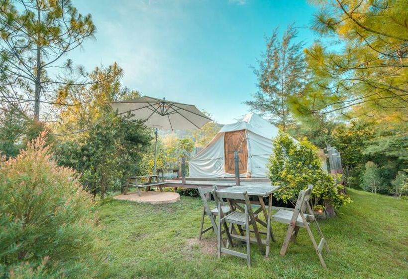 キャビン, The Birder S Lodge Khao Yai