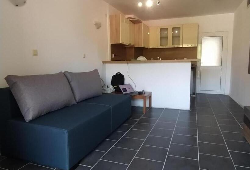 آپارتمان 1 خوابه با چشم‌انداز استخر, Limani Guest House