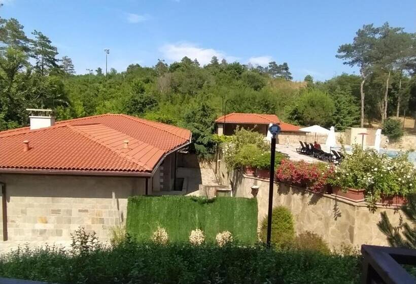 آپارتمان 1 خوابه با چشم‌انداز استخر, Limani Guest House