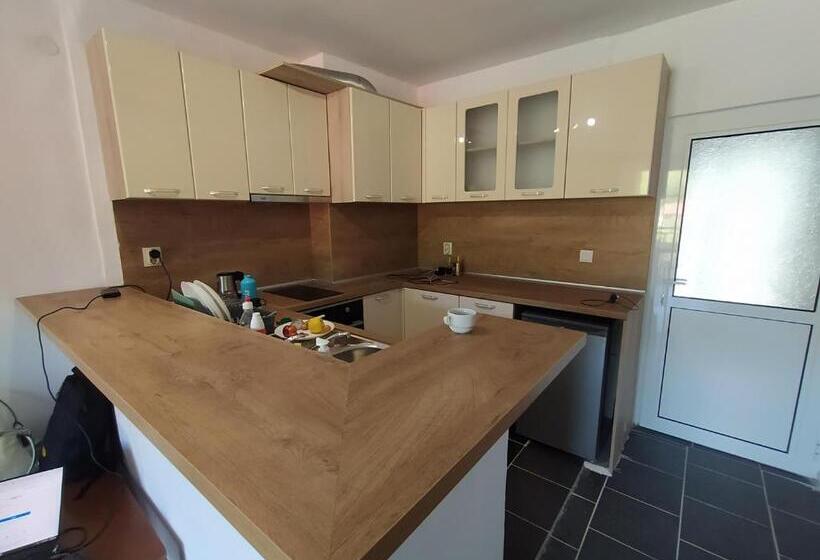 آپارتمان 1 خوابه با چشم‌انداز استخر, Limani Guest House