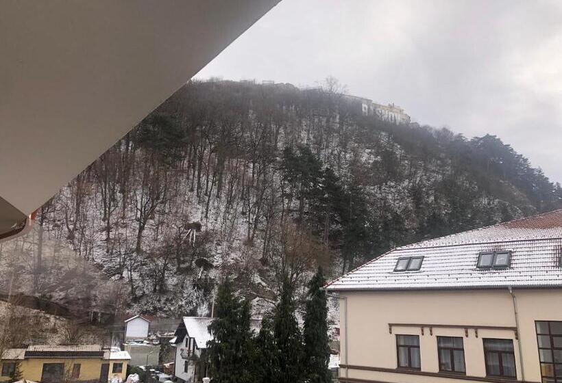 家庭工作室, Sub Cetate