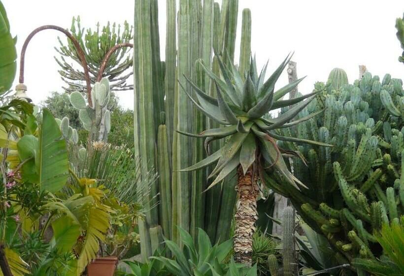 带花园景观的标准三人间, Villa Yucca