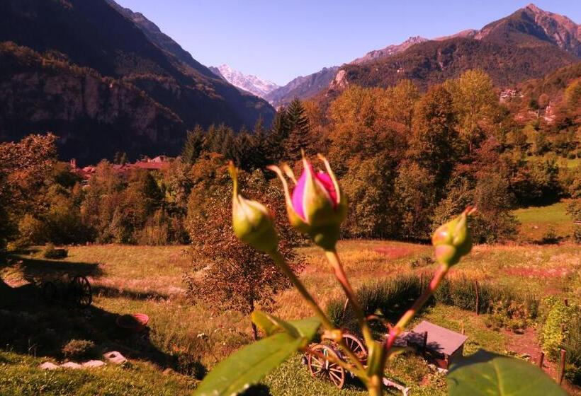 标准间, B&b Alpe Veglia