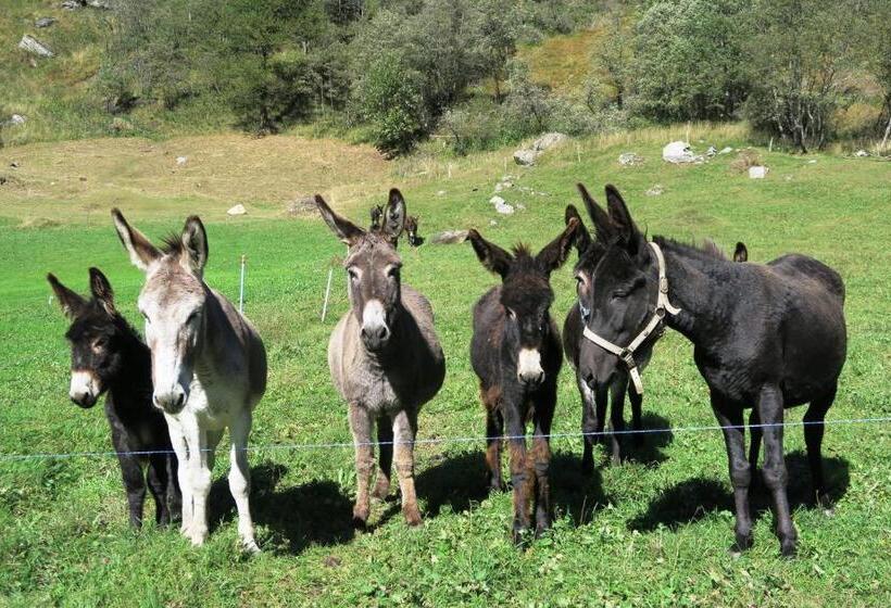 标准间, B&b Alpe Veglia