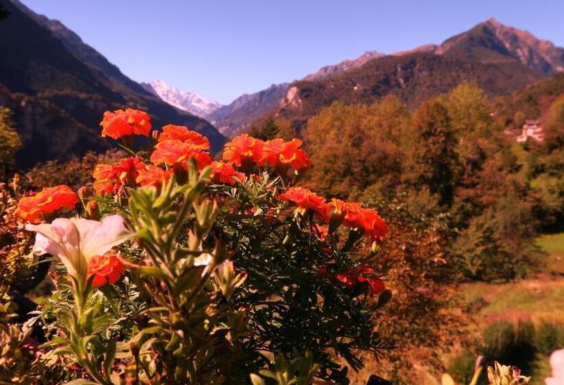 Номер Стандарт, B&b Alpe Veglia