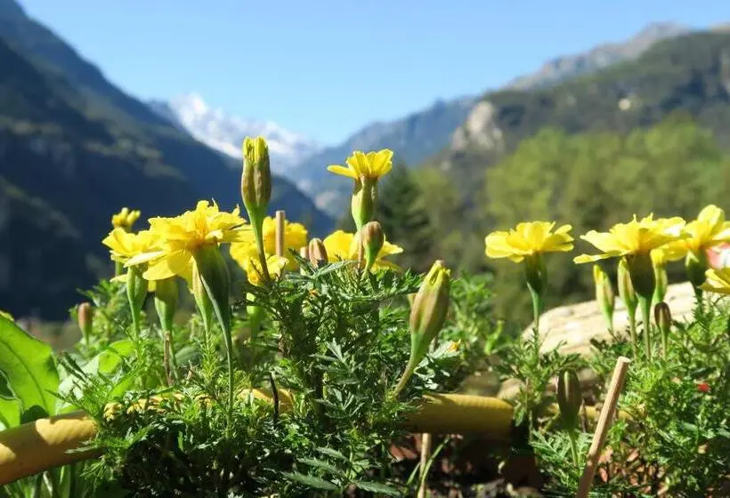 バス共有のスタンダードルーム, B&b Alpe Veglia