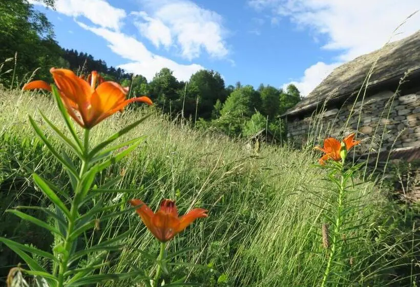 バス共有のスタンダードルーム, B&b Alpe Veglia