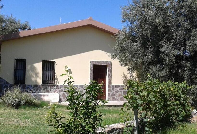 شقة غرفة واحدة مطلة على البحر, Agriturismo Torre Rinusa