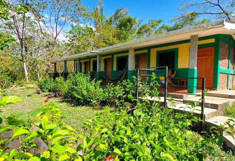 غرفة قياسية ثلاثية, El Encanto Garden