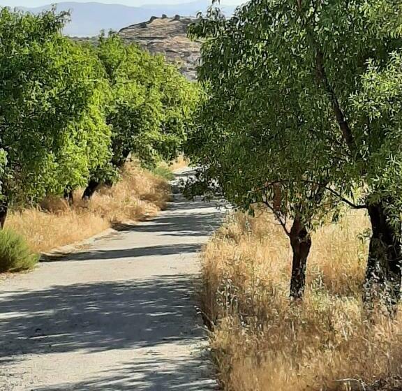 غرفة قياسية فردية, Vakantieboerderij La Balsa