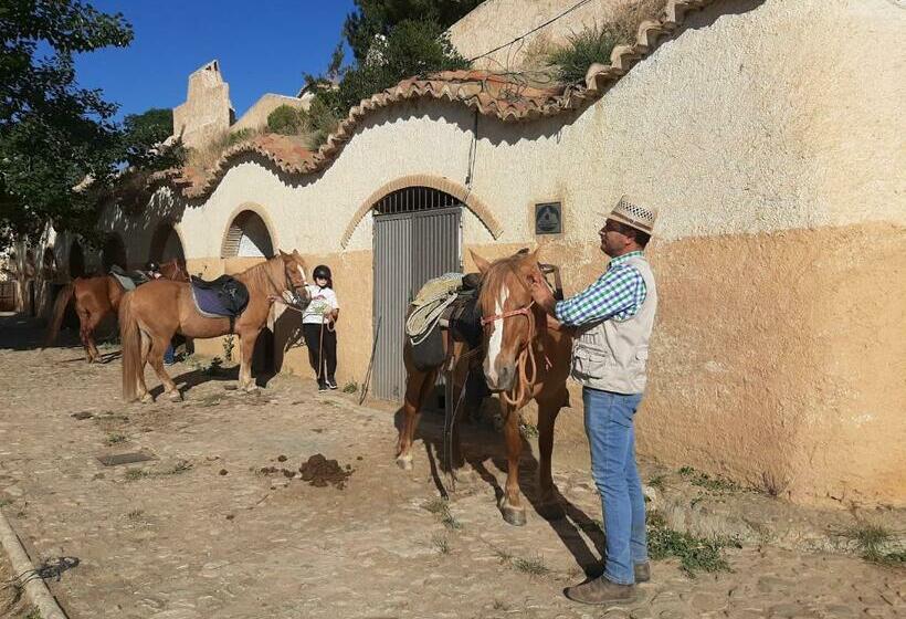 Номер Стандарт Индивидуальный, Vakantieboerderij La Balsa