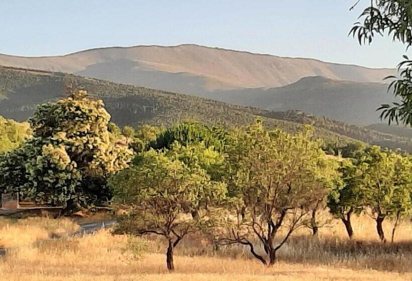 غرفة قياسية فردية, Vakantieboerderij La Balsa