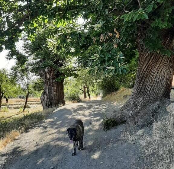 غرفة إقتصادية, Vakantieboerderij La Balsa