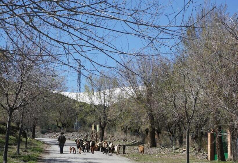 غرفة عائلية حمام مشترك, Vakantieboerderij La Balsa