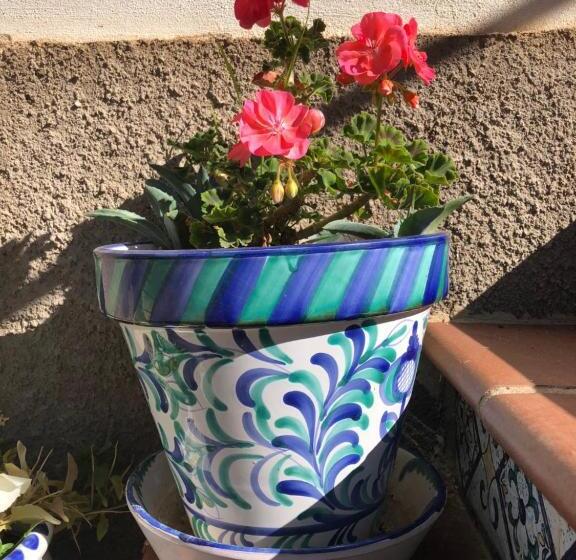 غرفة إقتصادية, Vakantieboerderij La Balsa