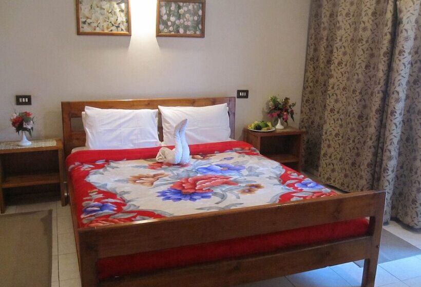 اتاق لوکس یک تخته, Amon