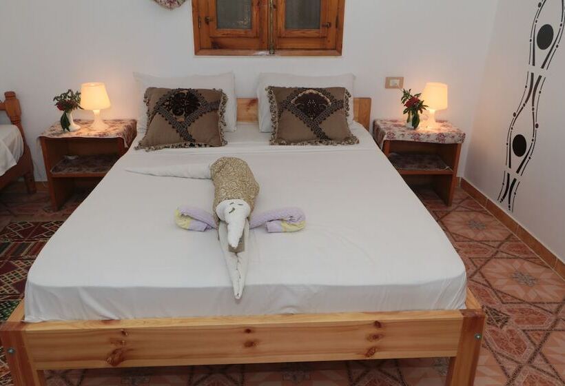 اتاق لوکس یک تخته, Amon