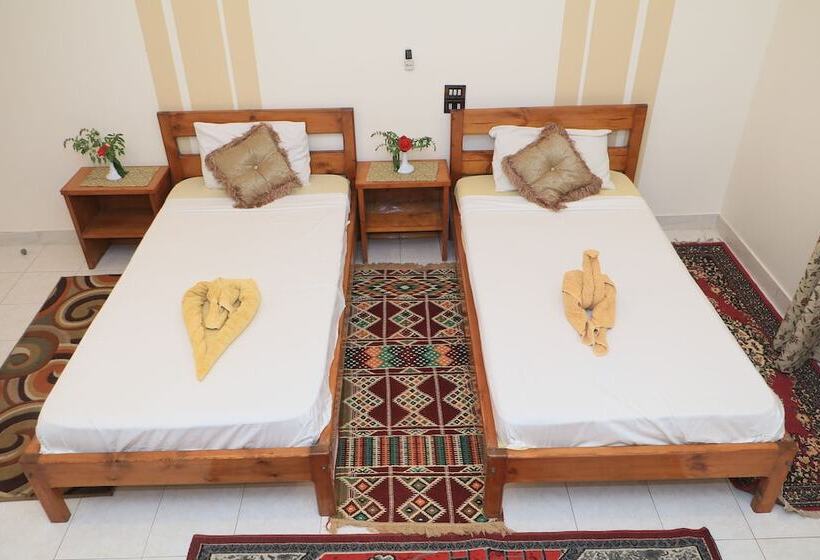 اتاق لوکس یک تخته, Amon