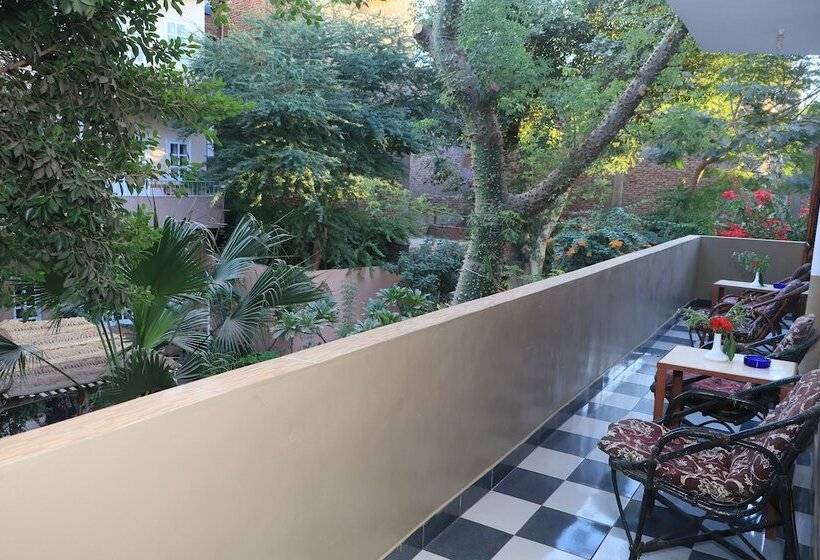 اتاق لوکس یک تخته, Amon