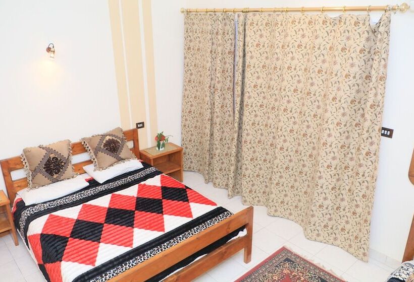 اتاق لوکس یک تخته, Amon