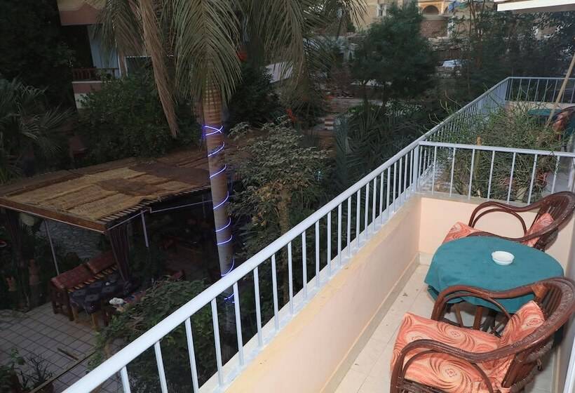 اتاق لوکس یک تخته, Amon