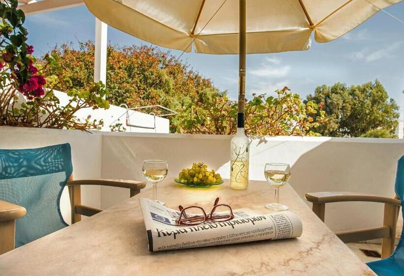 スタンダードルーム, Dionysis Studios