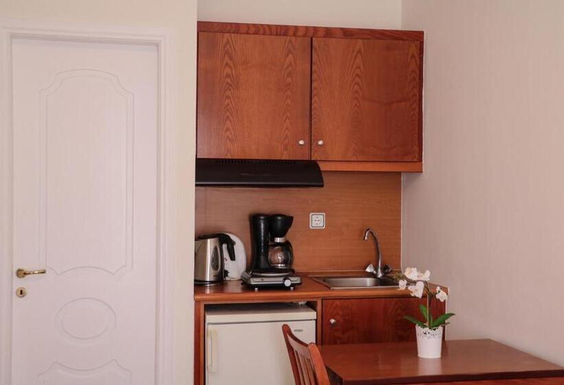 スタンダードトリプルルーム, Dionysis Studios