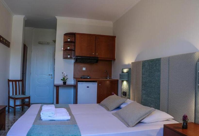 スタンダードルーム, Dionysis Studios