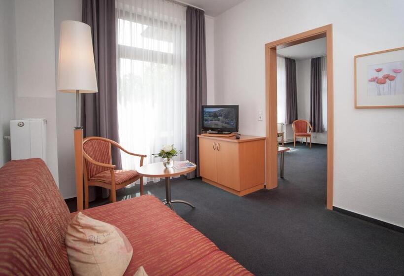 스탠다드 룸, Hollmann