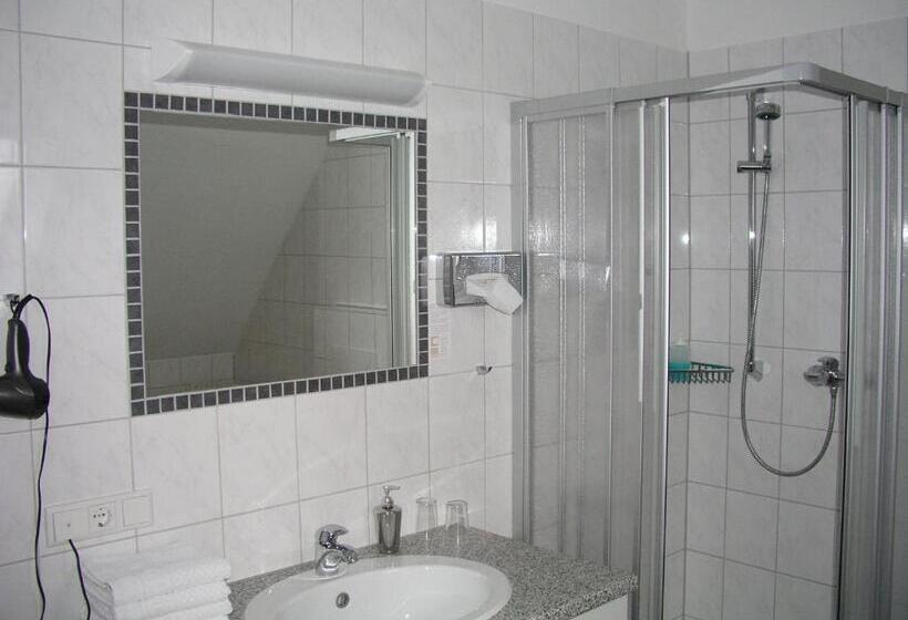 스탠다드 싱글 룸, Hollmann