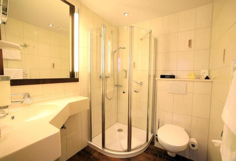 חדר סטנדרט, Landidyll Hotel Restaurant Birkenhof