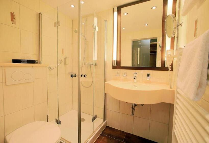 חדר סטנדרט, Landidyll Hotel Restaurant Birkenhof