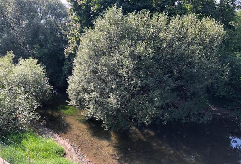 标准间带阳台, Mühleinsel