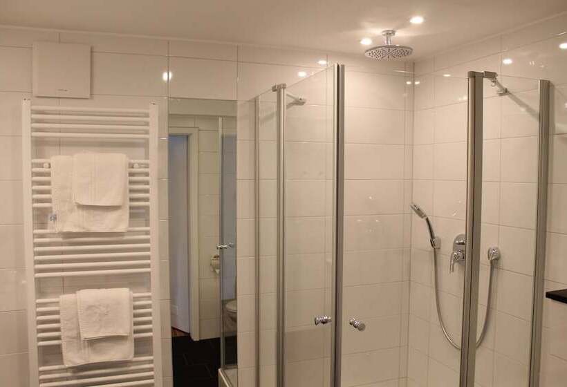 חדר אקזקיוטיב, Rheinhotel Arte