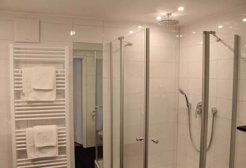 Executive-huone, Rheinhotel Arte