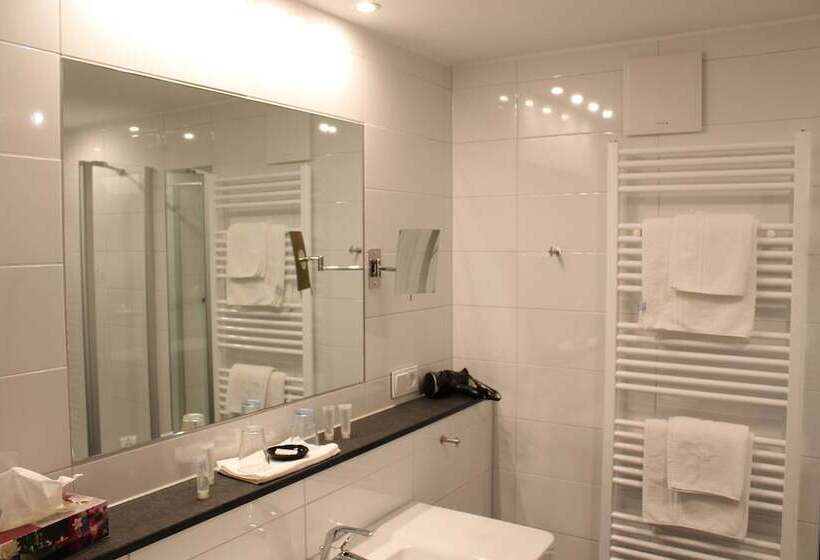 חדר אקזקיוטיב, Rheinhotel Arte