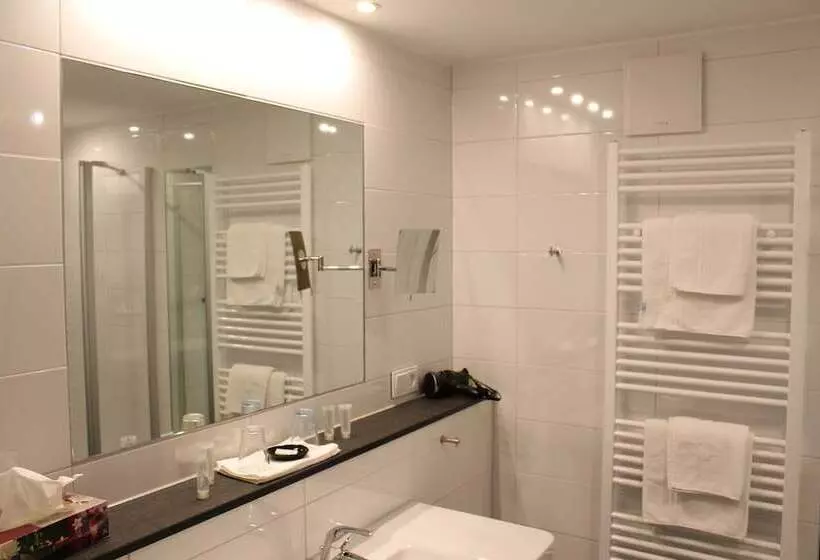 Executive-huone, Rheinhotel Arte