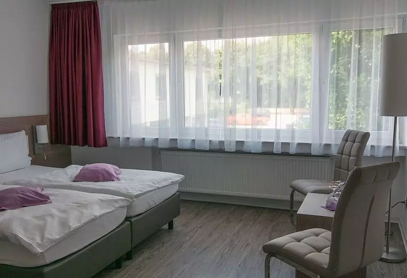 Standard-huone, Rheinhotel Arte