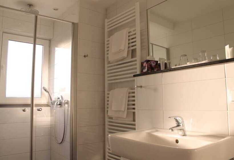 חדר סטנדרט, Rheinhotel Arte